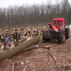 Image for article titled A First-Hand Look At Europe's Monster Logging Machines